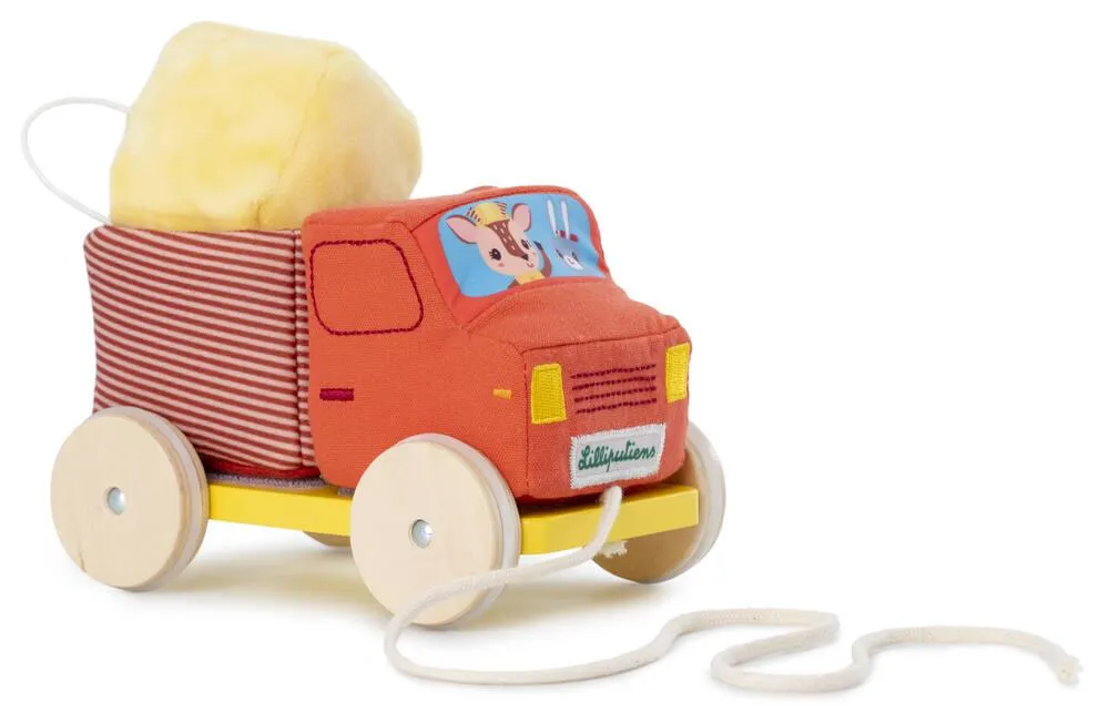 CAMION BENNE A TIRER