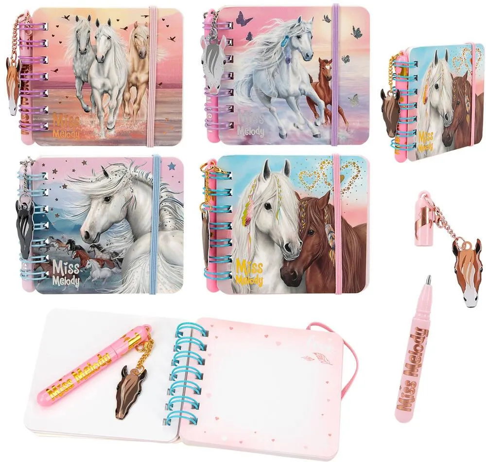 MISS MELODY SET DE CARNETS DE NOTES