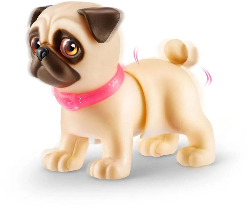 PETS ALIVE - CHIOTS BOOTY SHAKIN PUPS