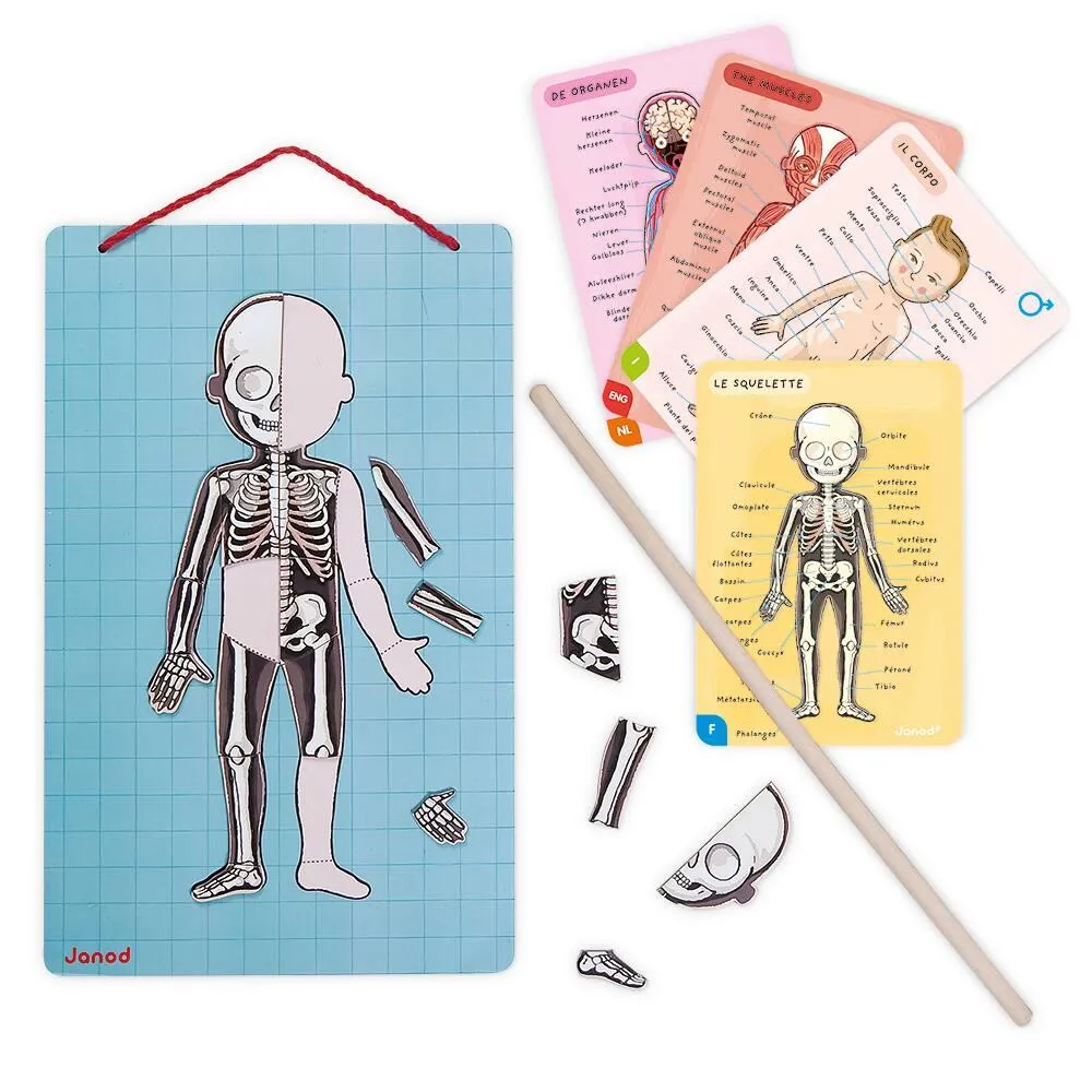 BODYMAGNET EN 12 LANGUES - EN BOIS