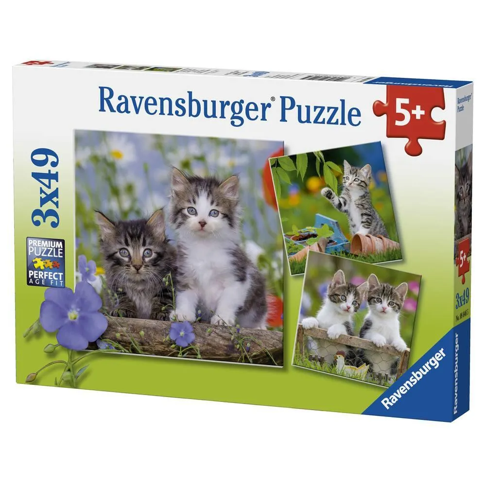 3 PUZZLES DE 49 PIECES CHATONS TIGRES