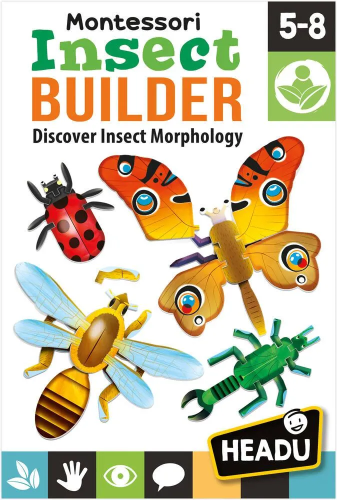 INSECT BUILDER MONTESSORI