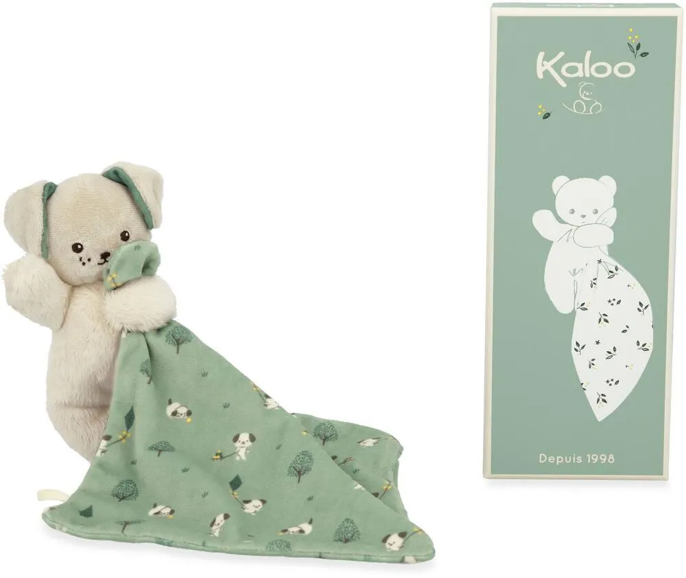 CARRE DOUCEUR - PELUCHE CHIEN VERT 14 CM