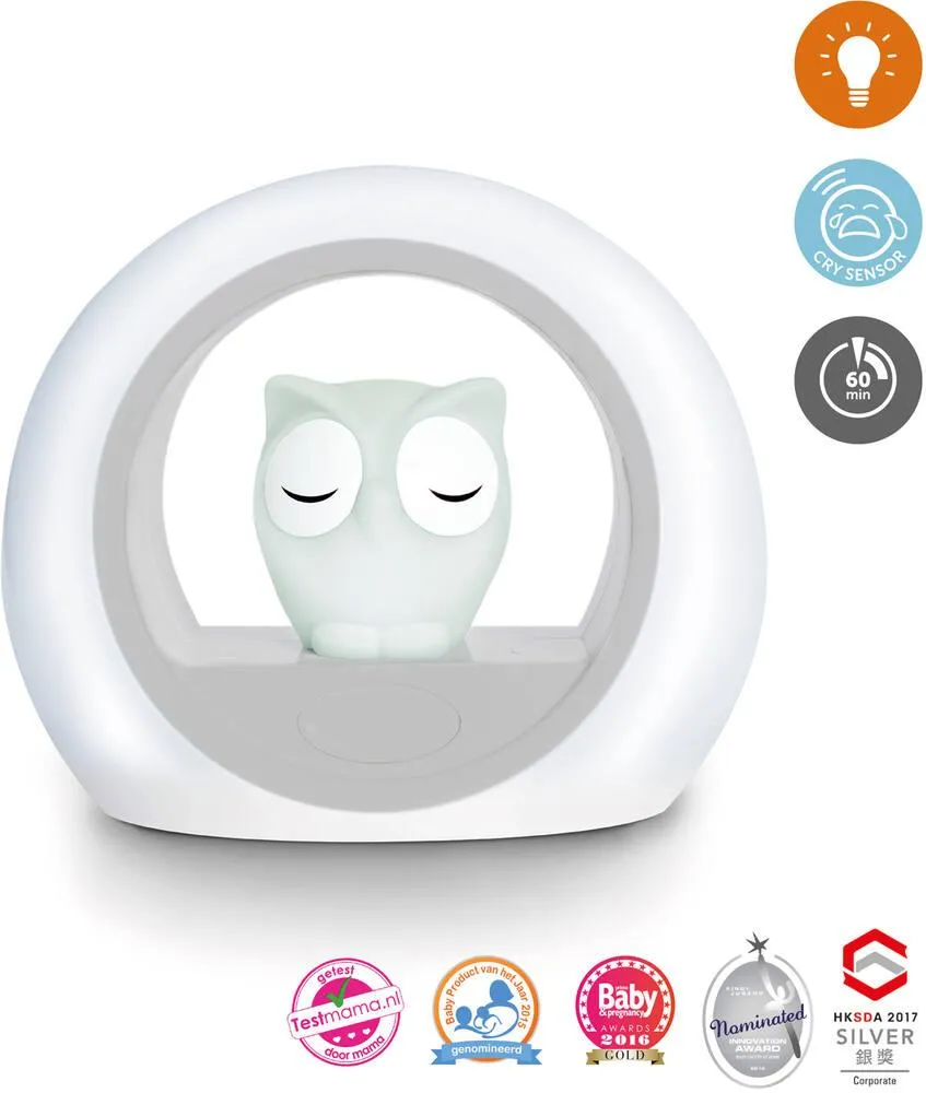 LOU LE HIBOU VEILLEUSE GRIS