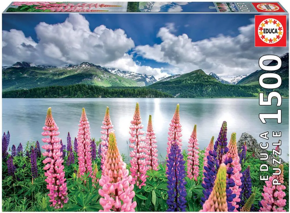 PUZZLE 1500 PIECES - LUPINS SUR LES RIVES DU LAC DE SILS - SUISSE