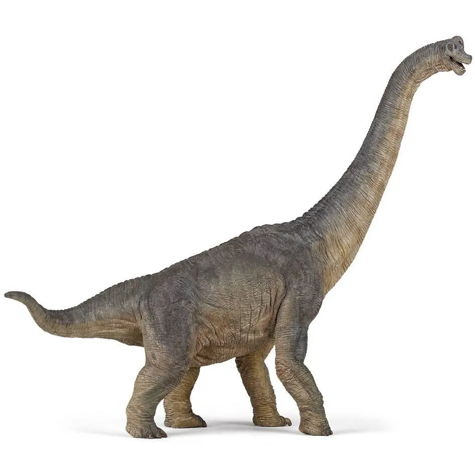 FIGURINE BRACHIOSAURE