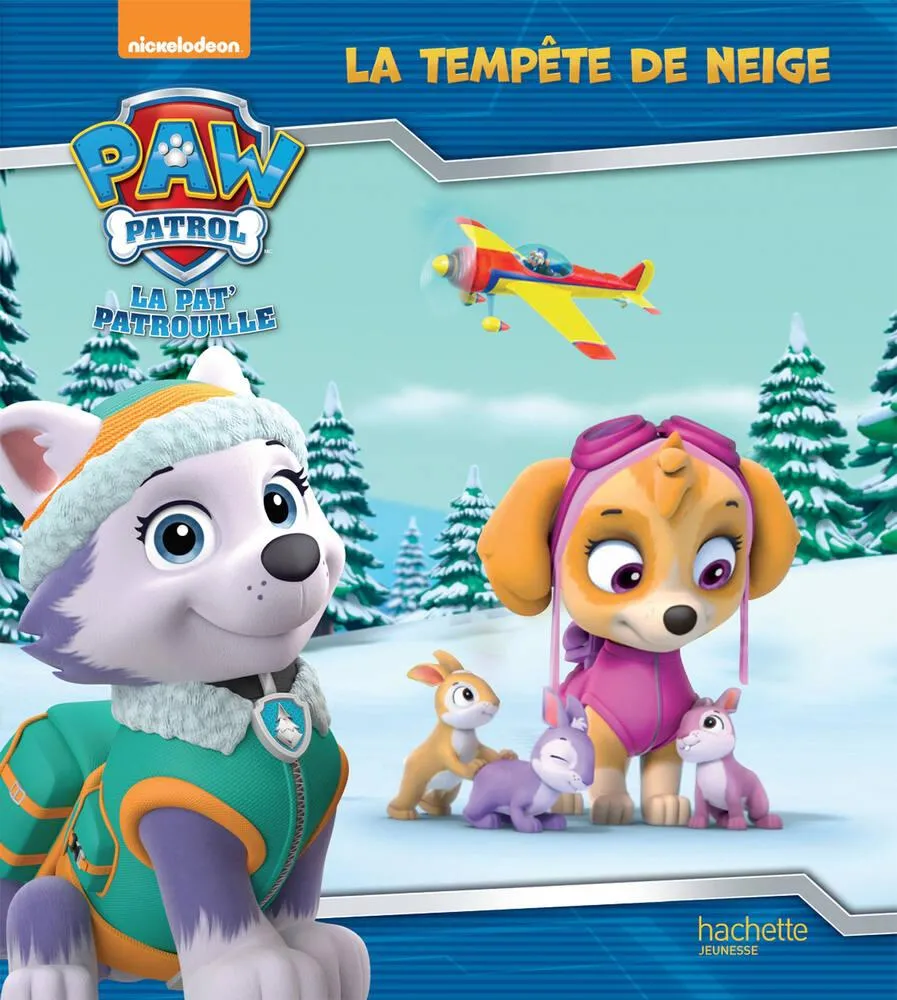 LA PAT' PATROUILLE - LIVRE - TEMPETE DE NEIGE