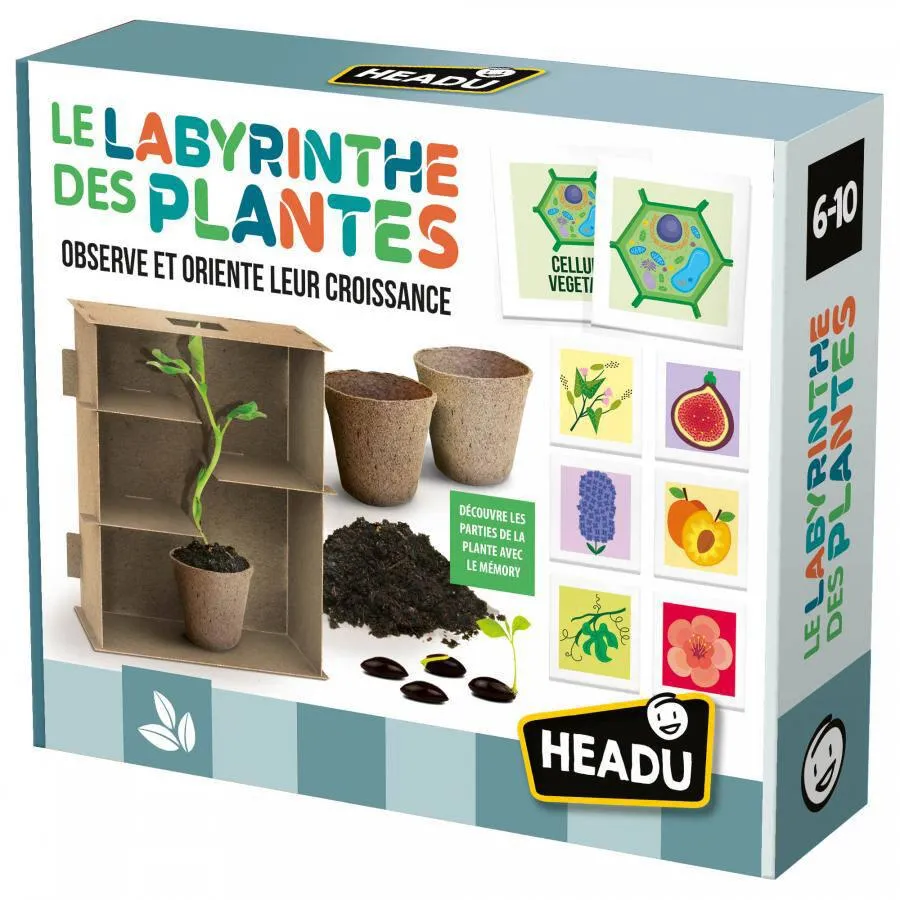 LE LABYRINTHE DES PLANTES