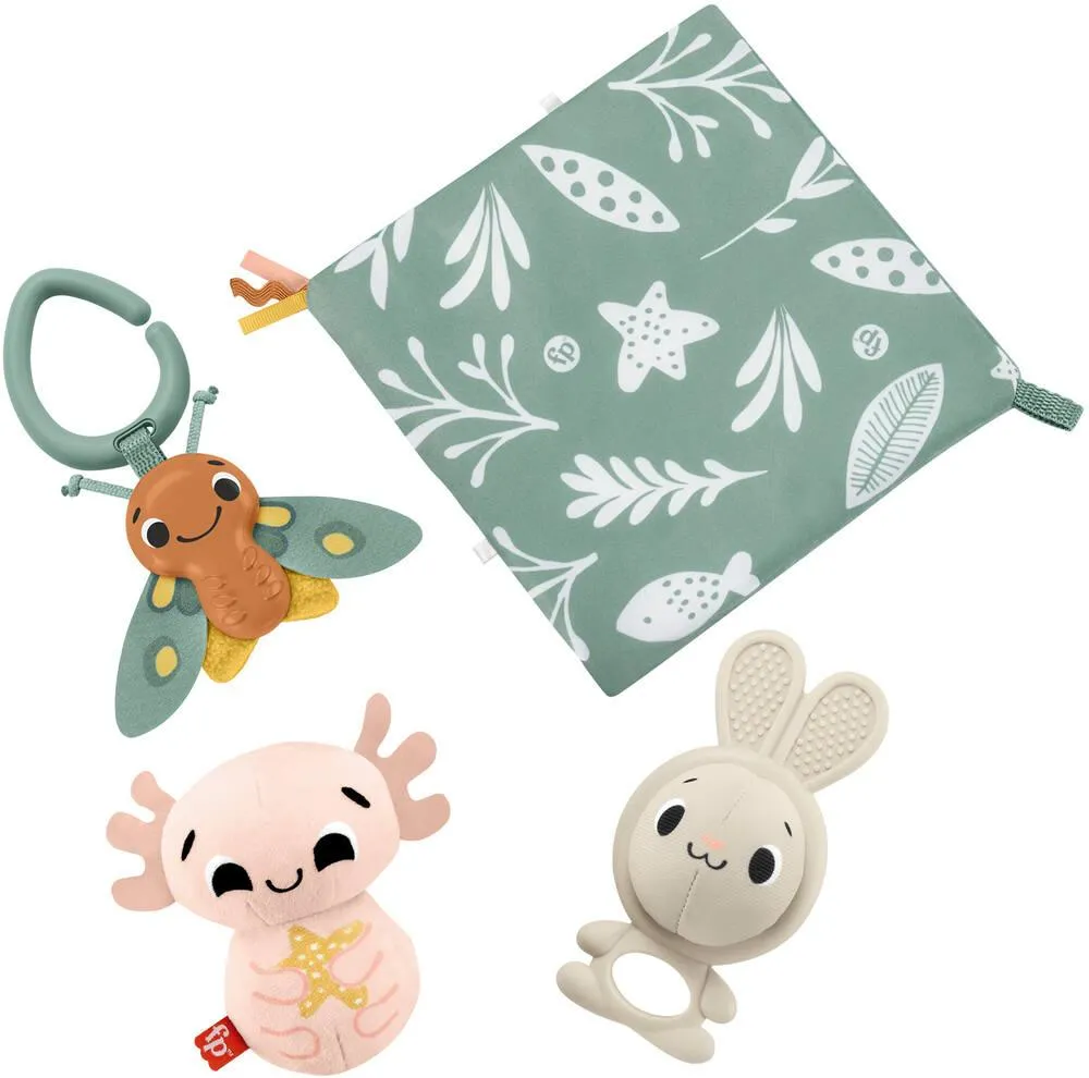 FISHER-PRICE® - COFFRET LES SENS EN EVEIL