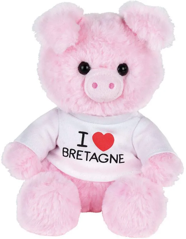 MESSAGE BRETAGNE PELUCHE COCHON : 22CM  I LOVE BRETAGNE