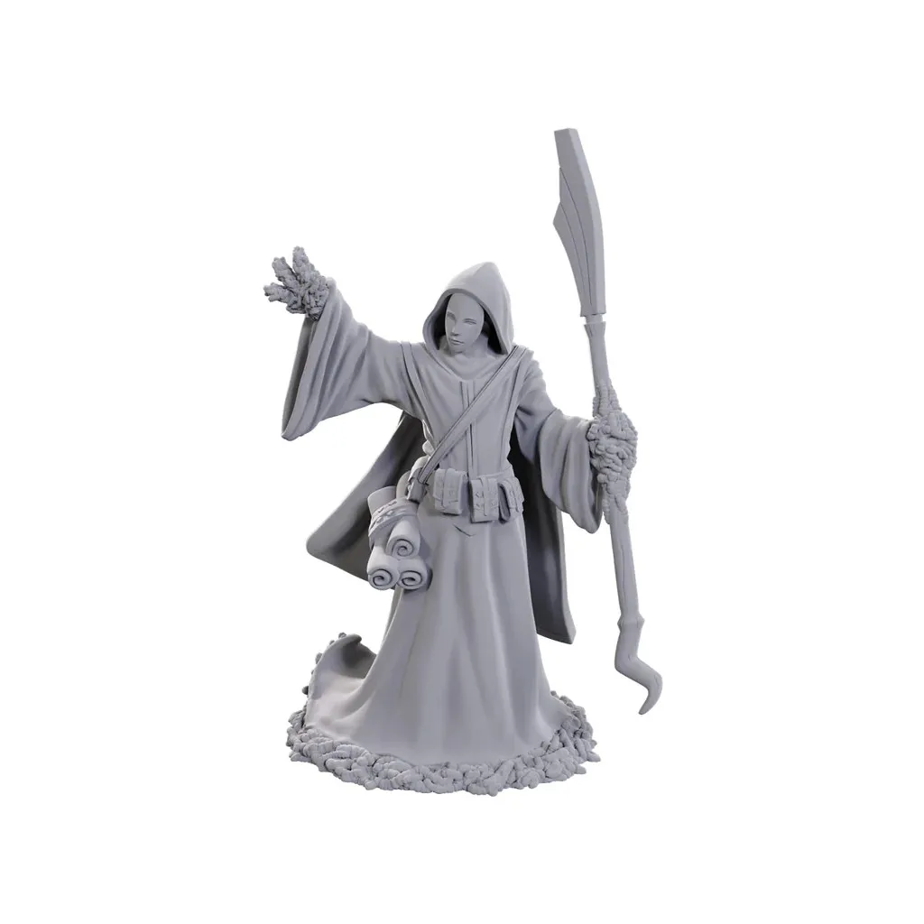 D&D Nolzur's Marvelous Miniatures: Star Spawn Larva Mage