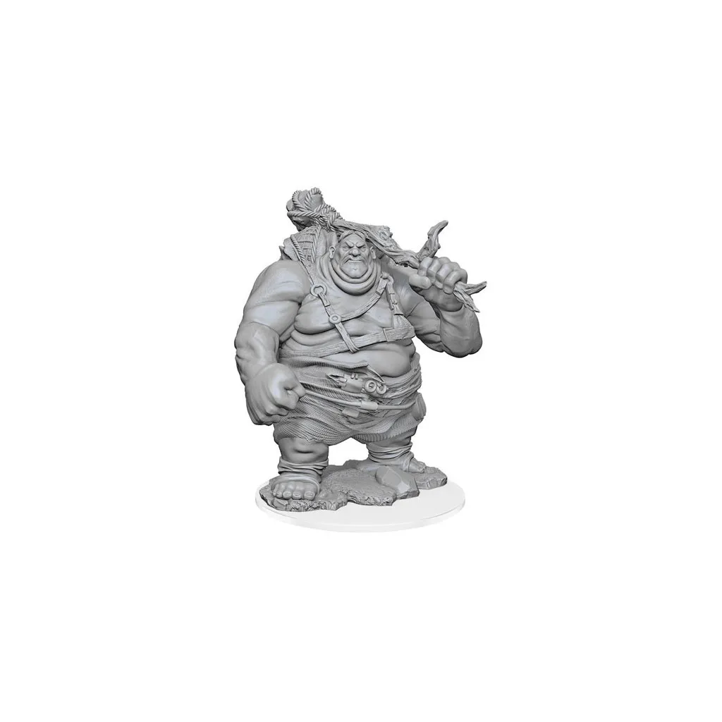 D&D Nolzur's Marvelous Unpainted Miniatures: Hill Giant