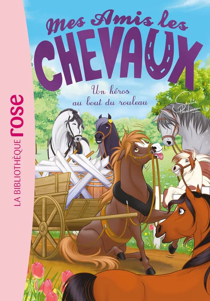 MES AMIS LES CHEVAUX - LIVRE TOME 41 - UN HEROS AU BOUT DU ROULEAU
