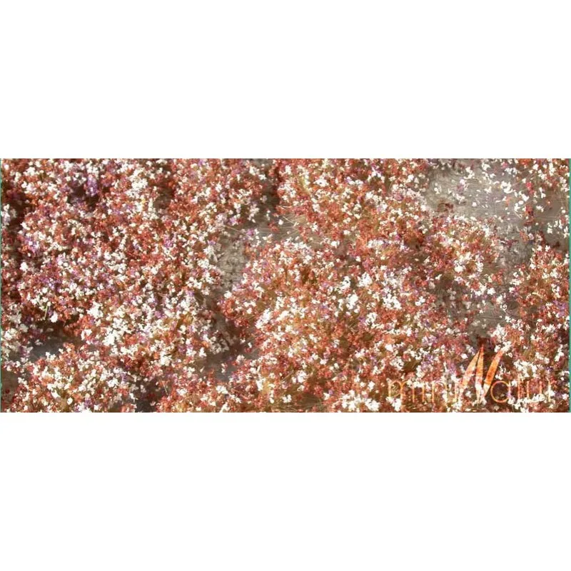 Floraison à l’automne. MININATUR - SILHOUETTE 726-24