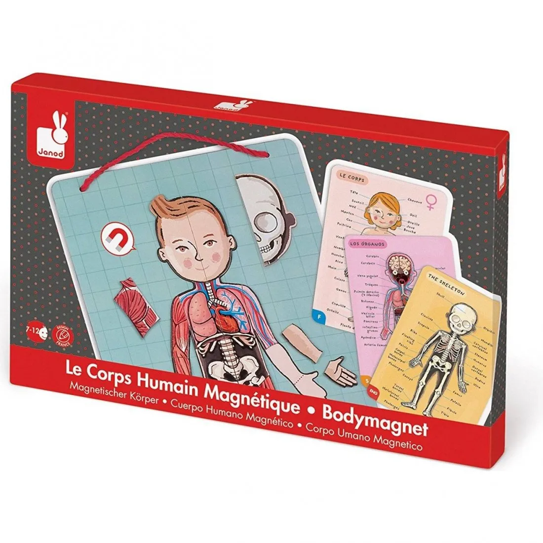 Body magnets - jeu magnétique et éducatif - Janod