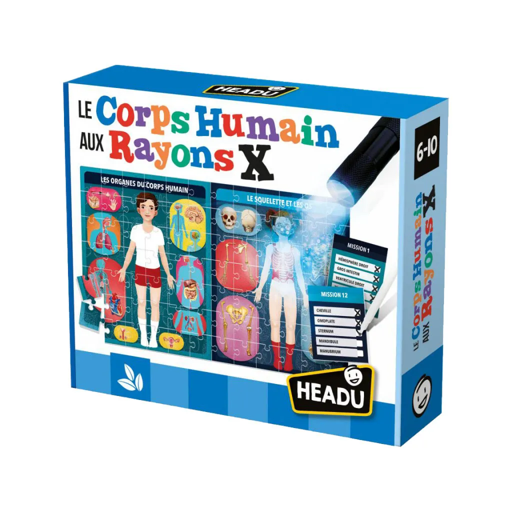 Le Corps Humain aux Rayons X