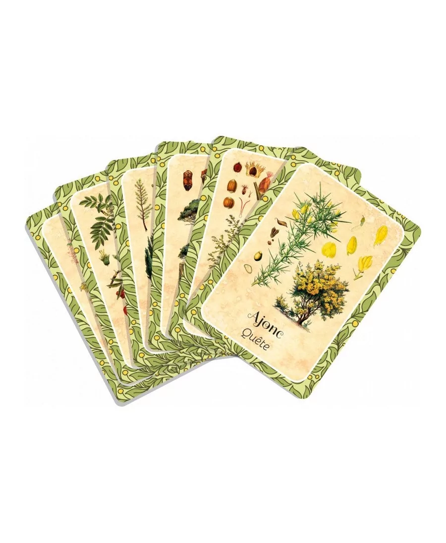 Les Cernes du Temps - Oracle - Cartes