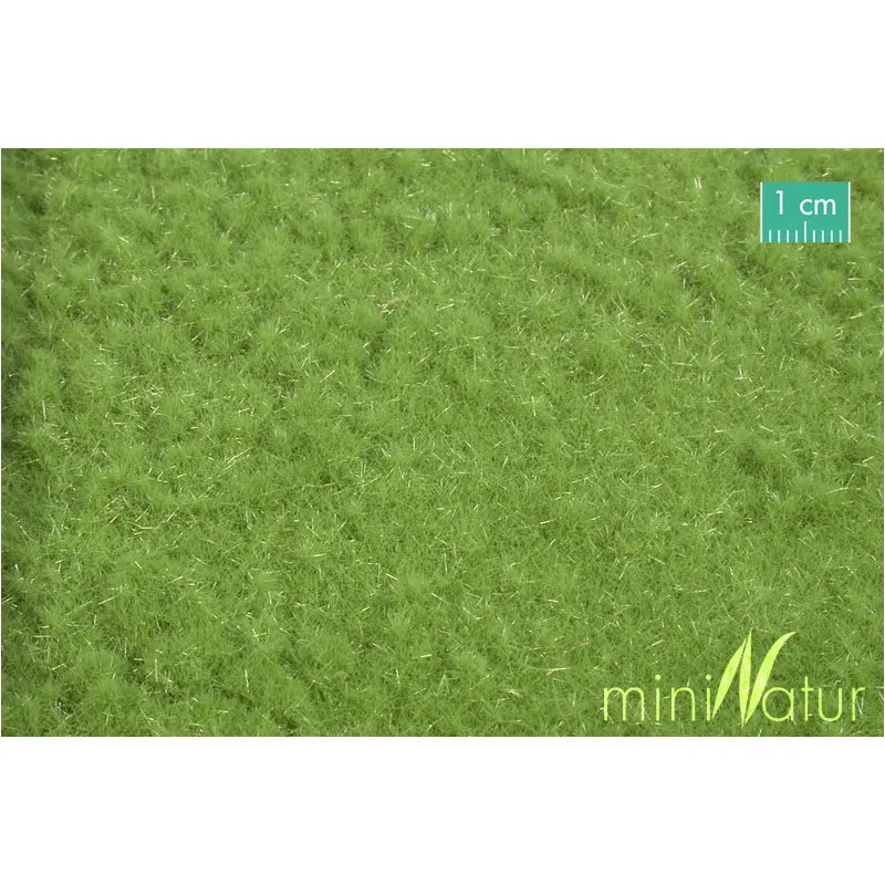 Prairie au printemps. MININATUR - SILHOUETTE 715-21H