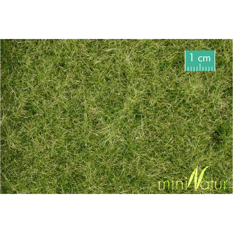 Prado, début de l’automne. MININATUR - SILHOUETTE 720-23S