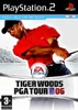 Tiger woods 2006 (platinum)